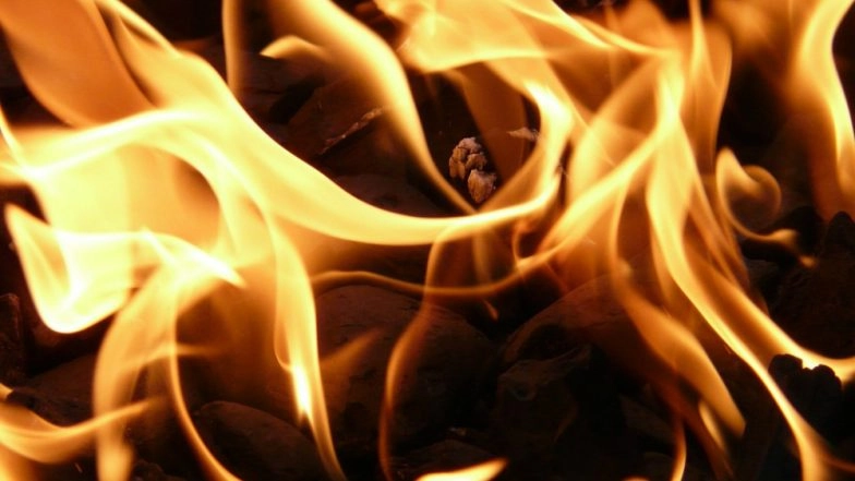 Delhi: Fire Erupts at Cold Storage Near Britannia Chowk, 30 Fire Tenders at Spot