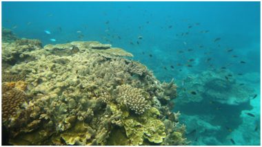 Great Barrier Coral Reef Can be Saved Using Ultra-Thin Sun Shield