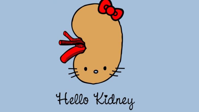 World Kidney Day 2019: Theme, Significance, History of the Day Dedicated to the Well-being of the Vital Organ World Kidney Day 2019: Theme, Significance, History of the Day Dedicated to the Well-being of the Vital Organ