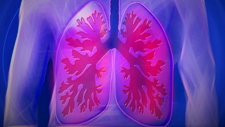 Delhi Air Pollution: Lifestyle Changes You Should Make To Save Your Lungs and Prevent Deadly Diseases