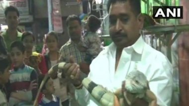 Lizard love: Juice Shop Owner In Indore Buys Iguanas for 2 lakhs, Crowd Rush To Catch Glimpse