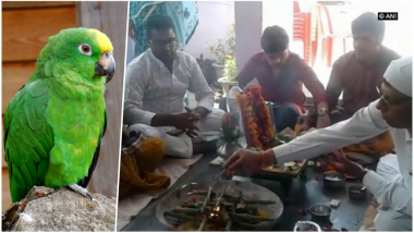 Pet Parrot Cremated by Owner as Per Hindu Rituals at Amroha in Uttar Pradesh