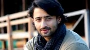 Shaheer Sheikh Opens Up On Doing Ekta Kapoor's Kasautii Zindagii Kay Reboot