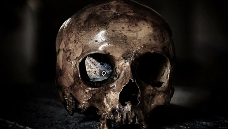 UP: Skeleton of Deceased Man Dug Out for Probe After Family Alleges Murder