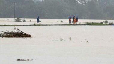 Super Typhoon May Flood One Third of Central Tokyo: Survey