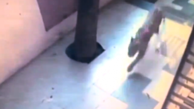 Woman Fights off Leopard, Saves Daughter in Tamil Nadu