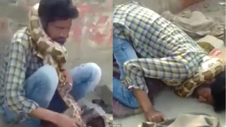 Indian Snake Charmer's Show Goes Wrong; Python Strangles Him During Live Performance, Video Goes Viral