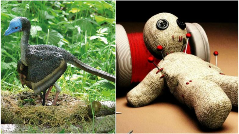 Love Science and Technology? These Bizarre Things Will Make you Sound Smarter This Week