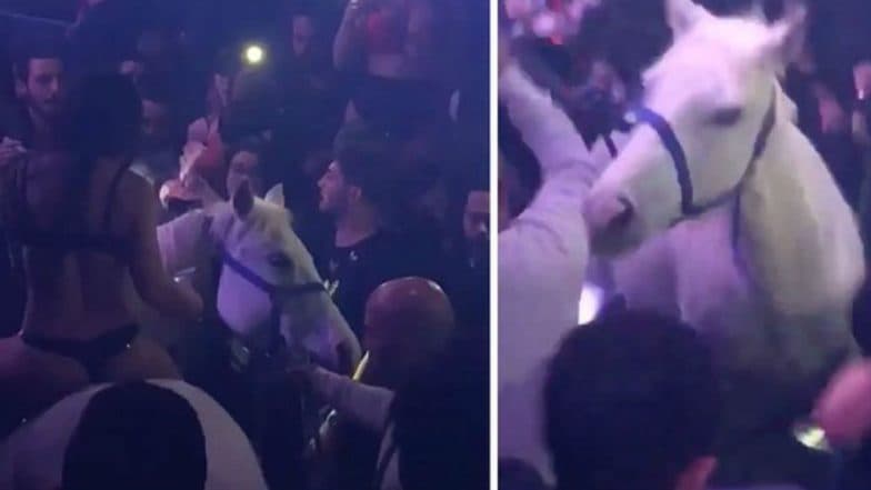Miami nightclub shuts down after woman rides horse onto dance floor