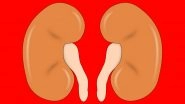World Kidney Day 2018: Tips to Care for Your Kidney after Transplantation