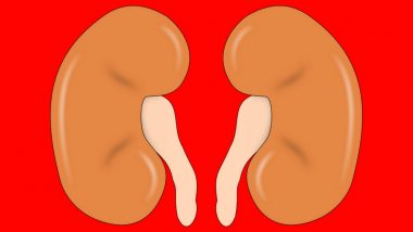 Women's Day 2018: Ladies, Did You Know That Kidney Diseases Kill More Women Than Men? Here are 5 Steps to Keep Your Kidneys Healthy