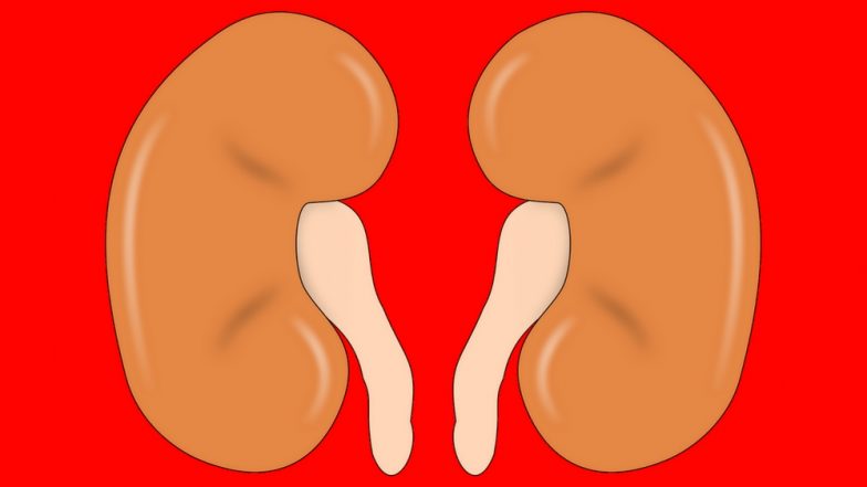 World Kidney Day 2020: How Can People With Kidney Diseases Protect Themselves Amid Coronavirus Outbreaks/Flu, Expert Reveals