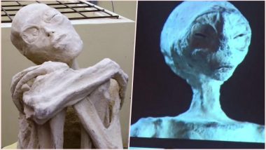 Do Aliens Exist? Russian Scientist Claims the Three-Fingered Mummies From Peru are not Humans