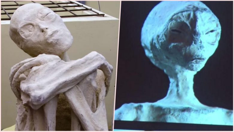 Do Aliens Exist? Russian Scientist Claims the Three-Fingered Mummies ...