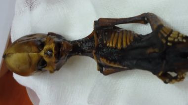 Tiny Mummy Alien Mystery Finally Solved, Know What The Skeleton from Atacama Means