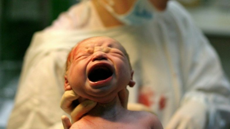Kolkata Shocker: 24 Foetuses Found Stuffed in Containers Near a Pond in Habra
