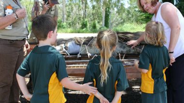 A Crocodile Was Captured to Deliver Croc Safety Measures For School Children, Twitterati Are Amazed