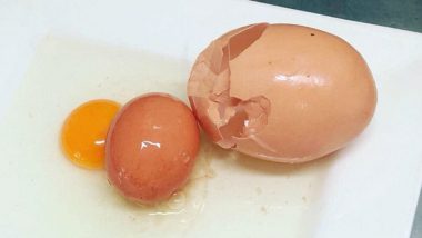 Australian Farmer Finds Huge Egg in His Farm, Cracks Open to Find Another Egg Inside And Now Pictures Are Viral