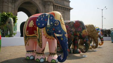 Elephant Parade: Colorful Jumbos Adorn Mumbai Spreading Awareness For Their Conservation