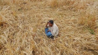 New MSP List 2018 For Kharif Crops: Revised Prices After Hike Approved By Narendra Modi Government
