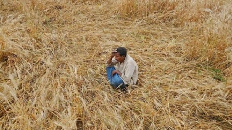 Karnataka: Farmers Planning to Protest Against PM Modi Over 'Non-Implementation of Swaminathan Commission Report' Detained in Bengaluru
