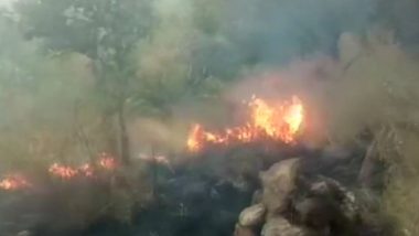 Tamil Nadu Forest Fire: 20 College Students Trapped in Theni Hills, IAF's Rescue Operations Underway