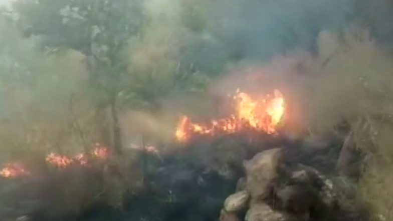 Forest Fires Rage Across Uttarakhand, 70 Hectares of Green Cover Lost