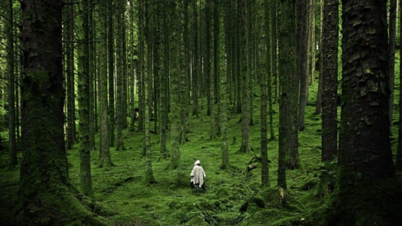 Amazon Forests Failing to Keep Up With Climate Change: Study Amazon Forests Failing to Keep Up With Climate Change: Study
