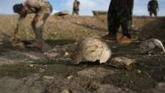 Over 1,500 Bodies Found in Syria Mass Grave