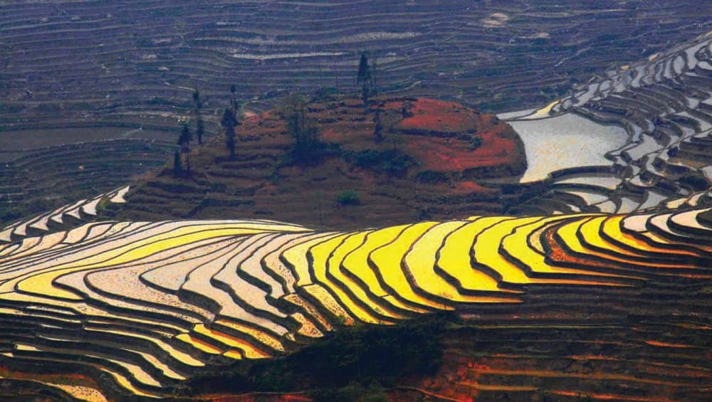 Ziquejie rice terrace has over 500 layers and the gradients of some rice terraces. Ziquejie rice terrace has over 500 layers and the gradients of some rice terraces.