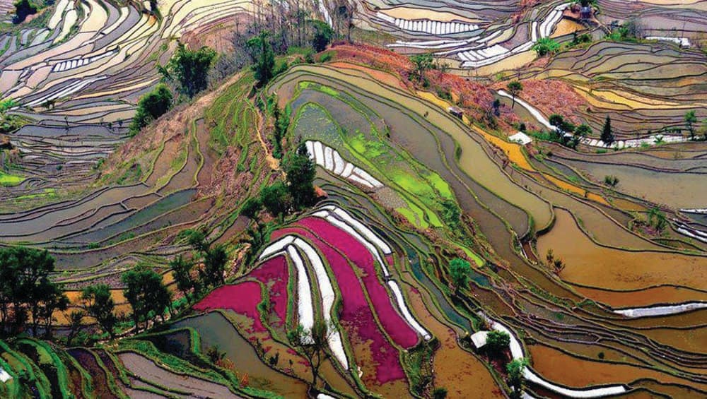 Yuanyang rice terrace was listed as a UNESCO World Heritage Site in 2013. Yuanyang rice terrace was listed as a UNESCO World Heritage Site in 2013.