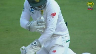 Bee Saves Shaun Marsh! Quinton De Kock can't complete the stumping as he was STUNG BY A BEE
