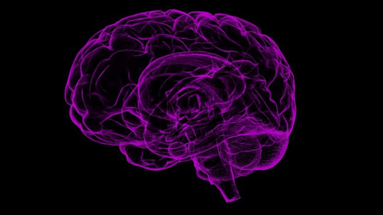 Paralysis Can be Reversed by Brain Zapping