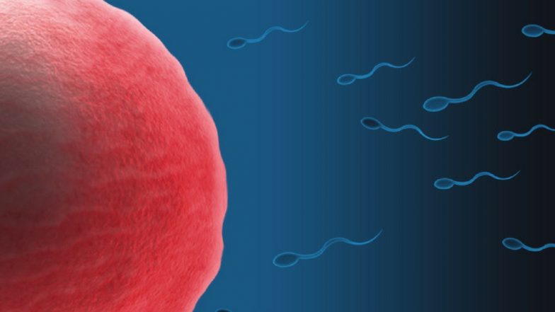 Canadian Doctor Accused of Impregnating 11 Women With Own Sperm Through IVF