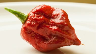 The Carolina Reaper: 6 Amazing Facts about the Deadly Chili Pepper Which Causes Thunderclap Headaches