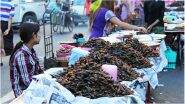 China is Breeding Billions of ‘Super Cockroaches’ Using AI Software to Produce Medicine, Experts Fear a Catastrophe