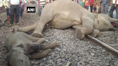 Four Elephants killed by Speedy Train in Odisha