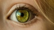 World Health Day 2018: Why Is Eye Health Important