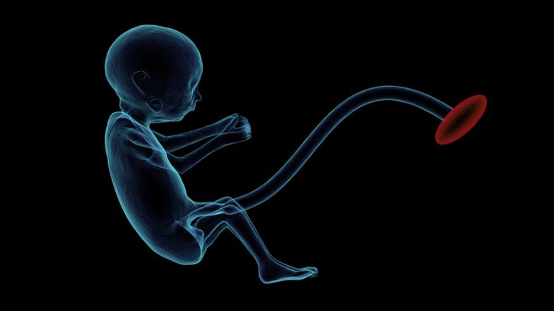 What Causes Preterm Labour? All You Need to Know About Premature Birth