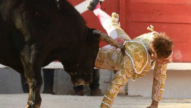 French Bullfighter Gored In The Backside During Performance, Horrific Video Goes Viral