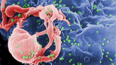 HIV Prevention: New Tool Protects Women From The Deadly Infection