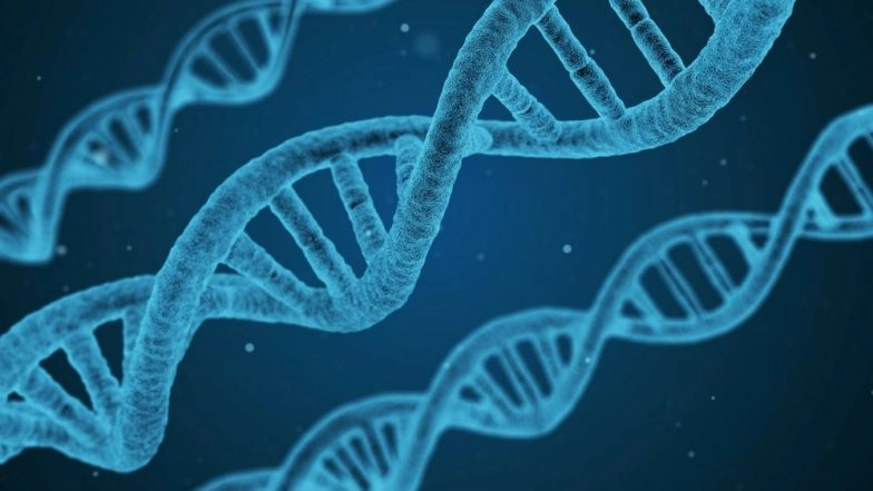 Mysterious Disease in Andhra Pradesh: 1 Dead, 290 Infected in Eluru
