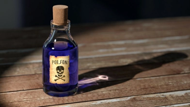 Uttar Pradesh: Couple Commits Suicide by Consuming Poison in Bareilly