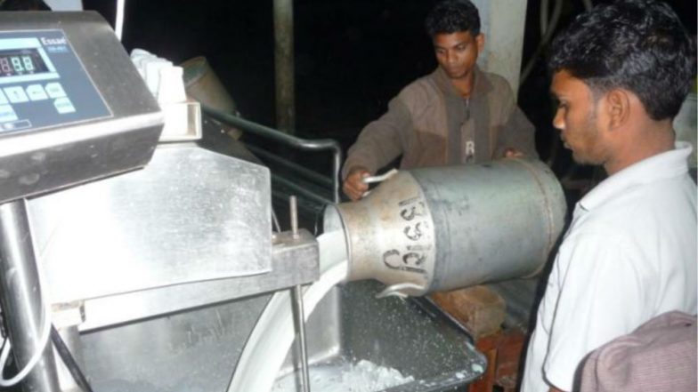 Minimum Rate of Milk Increases to Rs 25 Per Litre From Rs 17, Major Relief to Maharashtra Dairy Farmers Who Are on State-Wide Strike