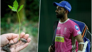 IPL 2018: Rajasthan Royals to Plant One Million Saplings as Part of Go Green Initiative