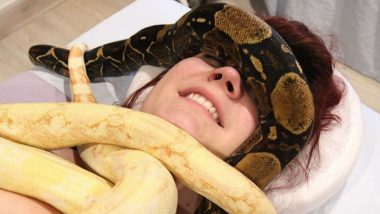 Snake Massage Video: Watch the Latest Fad Going Viral on Internet