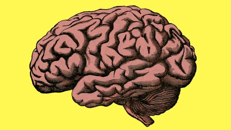 India Sees Increase Rise In Dementia-Related Cases, Says Lancet
