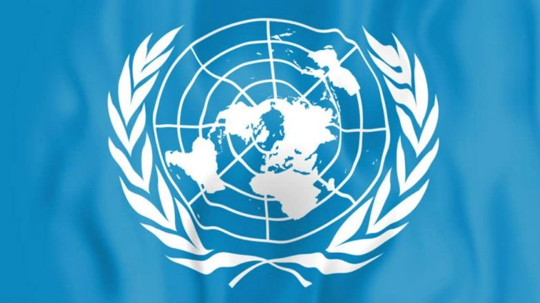 Building Peaceful Neighbourhood Pakistan's Foreign Policy Priority: UN Envoy
