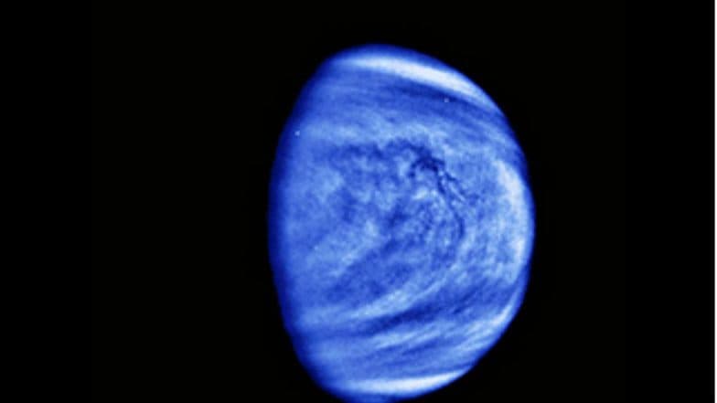 Life may be hiding in Venus' clouds, one team of researchers believes