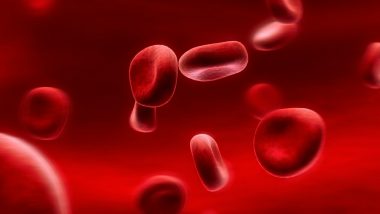 World Thalassemia Day 2019: Theme and Significance of the Day Dedicated to the Genetic Blood Disorder